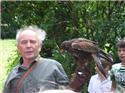 Veranstaltungsbild Besuch beim Falkner