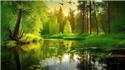 Veranstaltungsbild Naturkundetag: Expedition Feld, Wald und Wiese