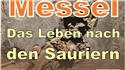 Veranstaltungsbild Messel – das Leben nach den Sauriern I